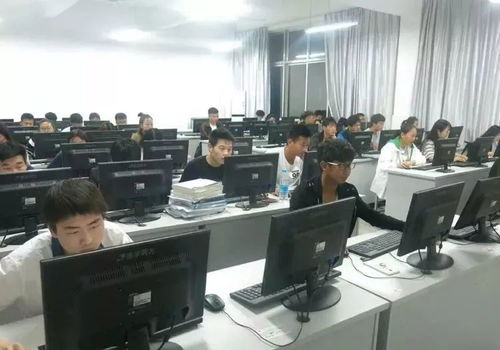 指尖创富 电子商务专业的数字未来与无限可能